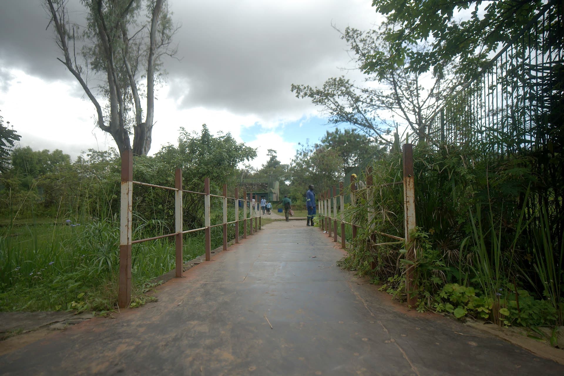 Visiteurs sur une allée pavée du zoo, sous un ciel bleu