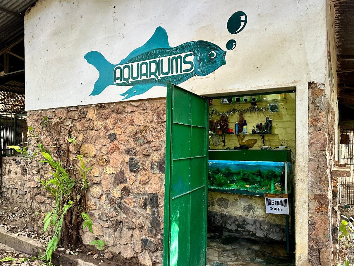 Entrée de l'espace aquariums, décorée d'une fresque de poisson