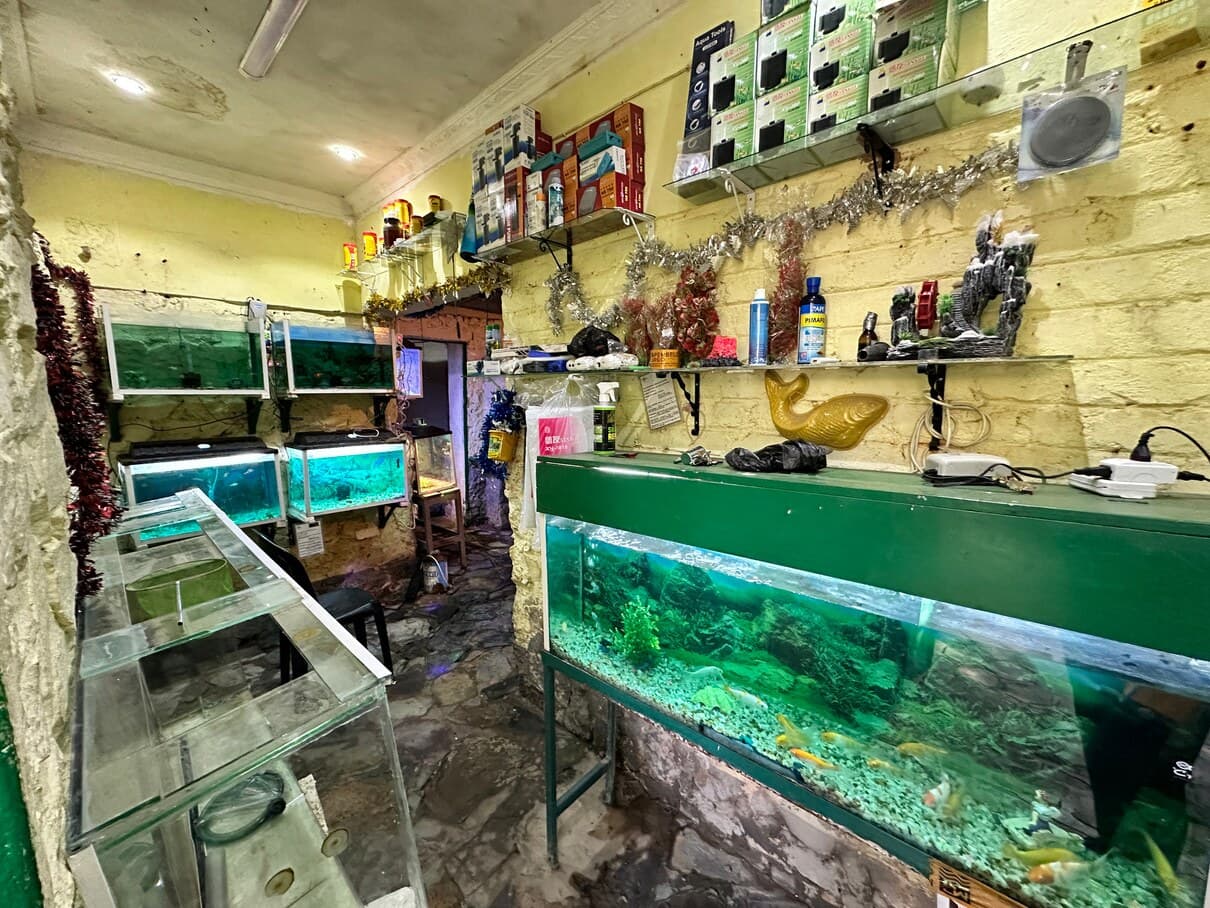 Vitres de l'espace aquariums du zoo