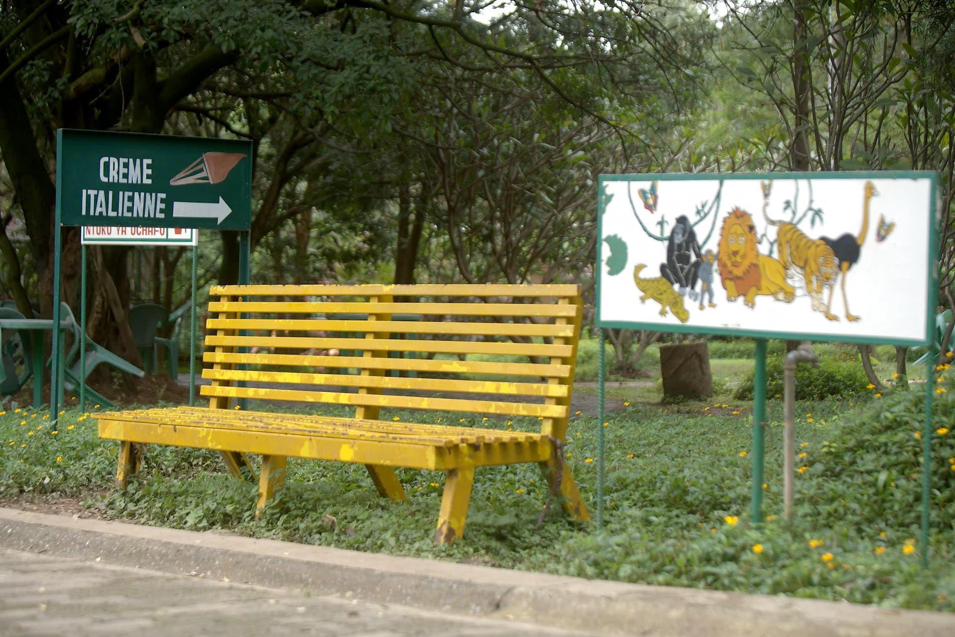 Banc jaune devant une fresque d'animaux peinte dans le zoo