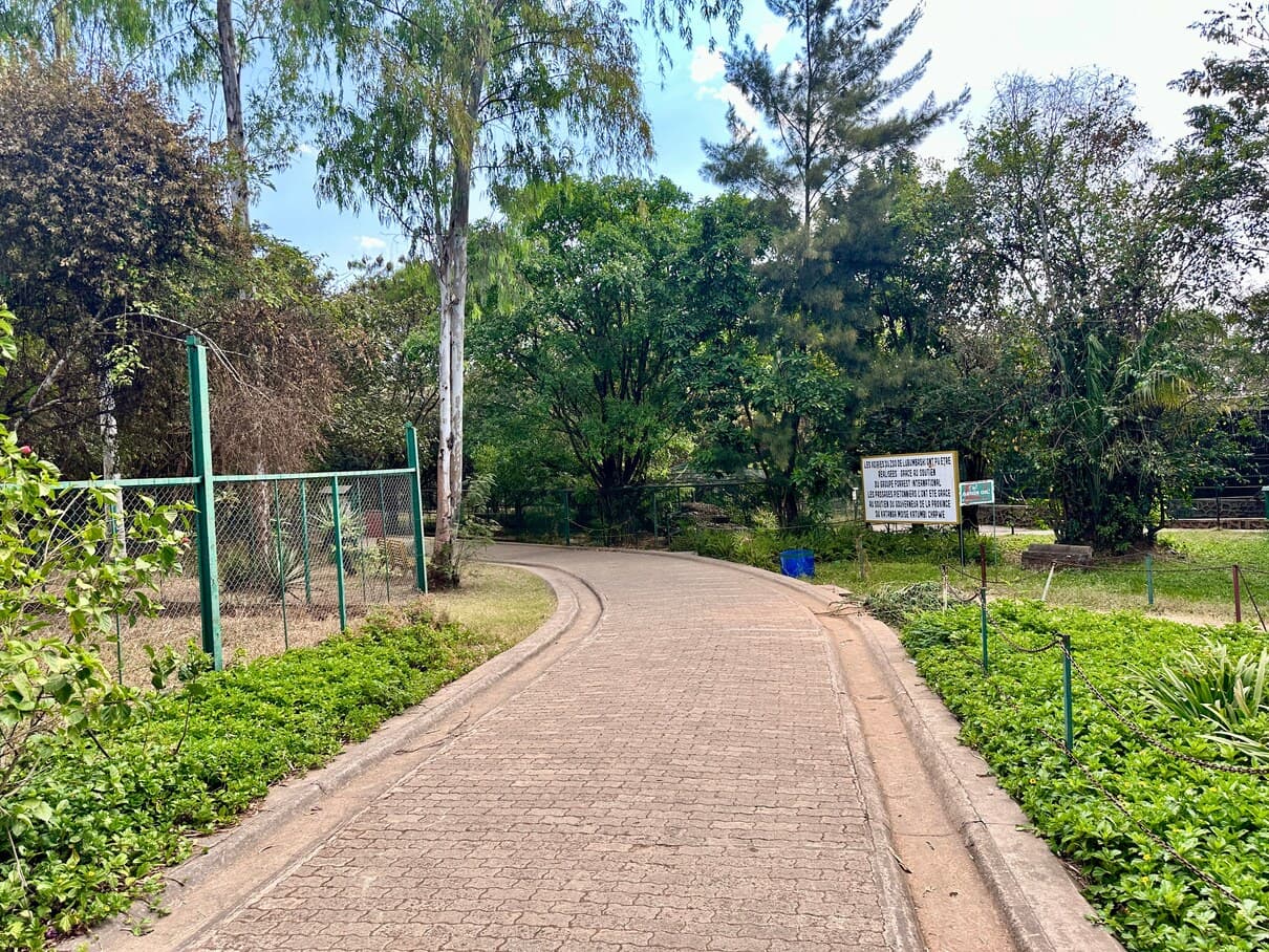 Chemin pavé réhabilité serpentant dans la verdure du zoo