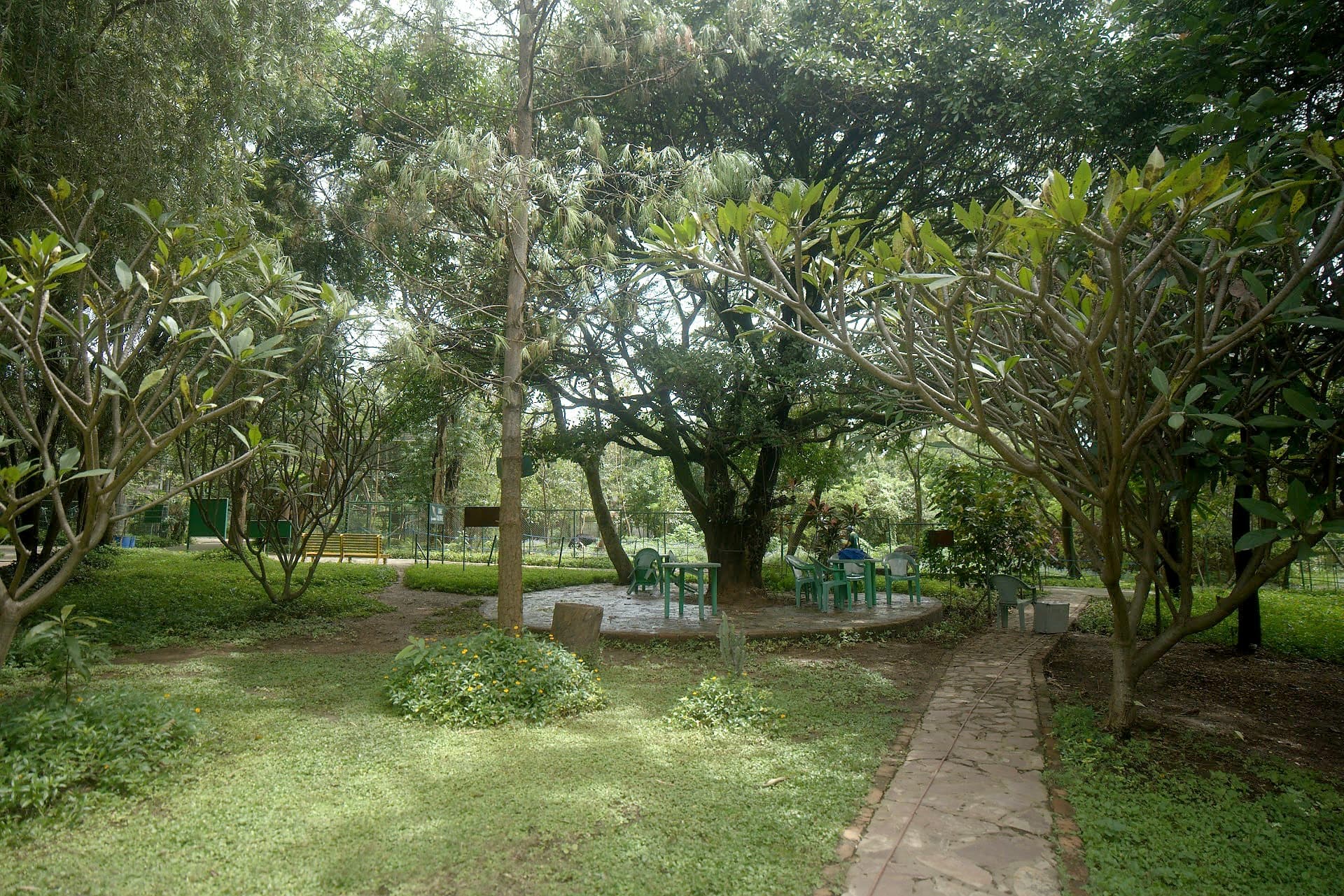 Sentier traversant le jardin aux frangipaniers du zoo