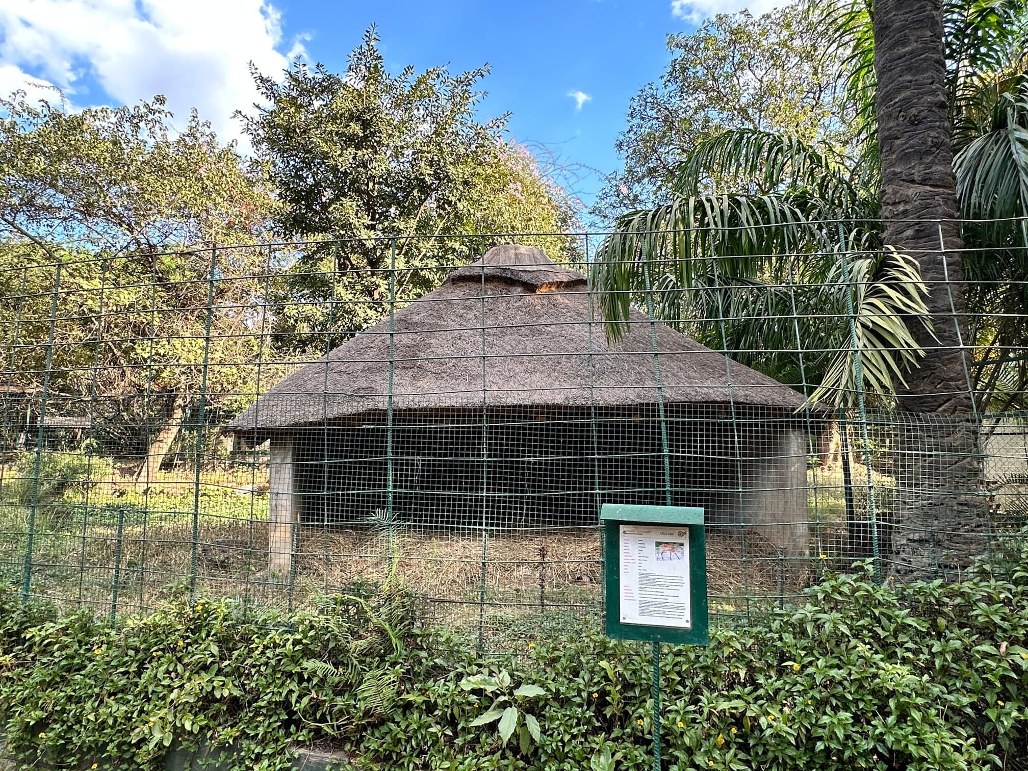 Paillote au toit de chaume construite dans une cage du zoo